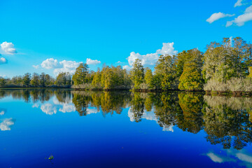 Fototapeta premium Winter Landscape of Hillsborough river at Lettuce lake park 