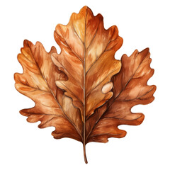 Obraz premium Watercolor Oak Leaf Illustration Painted Rustic Brown Autumn Botanical Art Isolated Background Decorative Clipart