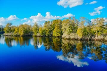 Winter Landscape of Hillsborough river at Lettuce lake park	
