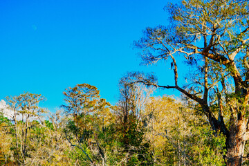 Winter Landscape of Hillsborough river at Lettuce lake park	
