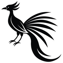 Bird of Paradise Exotic Flower Vector.