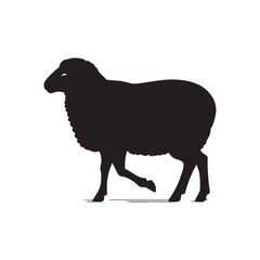 Silhouette of sheep, sheep icon, Sheep silhouette isolated on white background. Silhouettes of farm animals, domestic small cattle