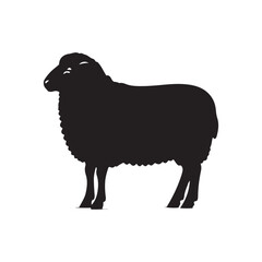 Silhouette of sheep, sheep icon, Sheep silhouette isolated on white background. Silhouettes of farm animals, domestic small cattle