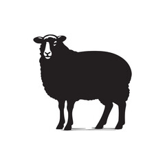 Silhouette of sheep, sheep icon, Sheep silhouette isolated on white background. Silhouettes of farm animals, domestic small cattle