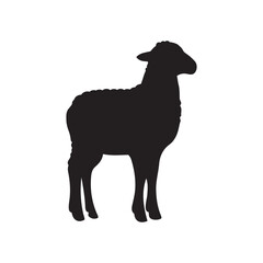 Silhouette of sheep, sheep icon, Sheep silhouette isolated on white background. Silhouettes of farm animals, domestic small cattle