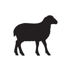 Silhouette of sheep, sheep icon, Sheep silhouette isolated on white background. Silhouettes of farm animals, domestic small cattle