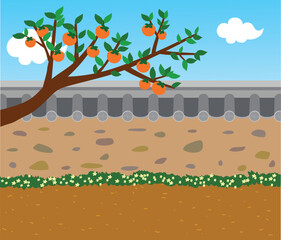 A view of autumn with persimmon trees, flower grass, and blue sky in the yard of a traditional Korean house with tile walls