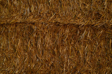Stack of hay at farm. Hay texture. Hay bale. Pile of golden yellow hay. Haystraw for background. Farm background.