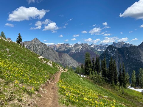 alphine landscape in the mountains