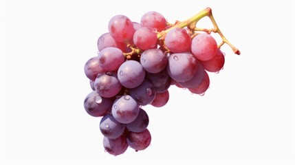 Fototapeta premium Fresh Grapes