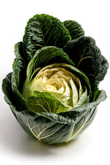 Obraz premium cabbage on a white background