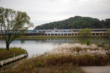 대한민국의 유명한 관광 명소인  순천 국가정원의 모습입니다.