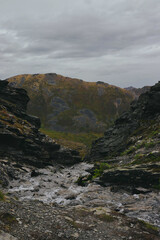 stream in the mountains 