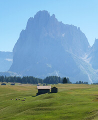 Mountain hut landscape with blue sky, bright green grass, summer time in the Dolomites in Italy. Pine trees and Cows