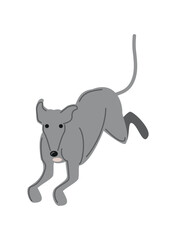 greyhound dog animal icon