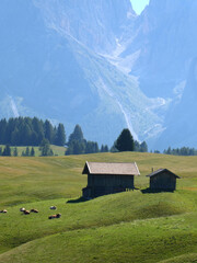 Mountain hut scenic landscape with blue sky, bright green grass, summer time in the Dolomites in Italy. Pine trees, Cows in a meadow
