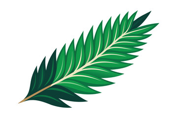 pine leaf vector art illustration for botanical and nature design