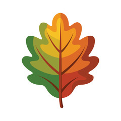 Fototapeta premium oak leaf vector art for autumn and seasonal design