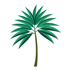  palm leaf vector art for tropical and nature-inspired designs