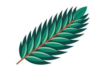Fototapeta premium pine leaf vector art illustration for botanical and nature design