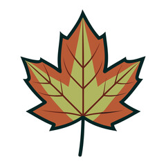 sycamore leaf vector art for botanical and nature designv