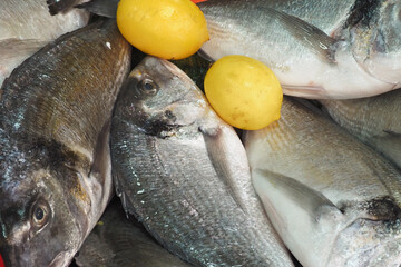 A Beautiful Display of Fresh Fish Accompanied by Vibrant Lemons Showcased at Local Market
