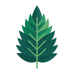  green spruce leaf vector art for botanical and forest designs
