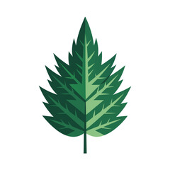  green spruce leaf vector art for botanical and forest designs
