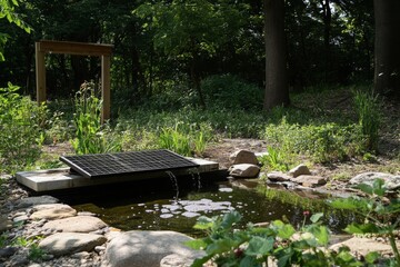 Solar-Powered Water Feature in a Woodland Setting