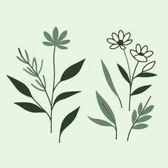 black and white floral background