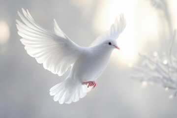 Obraz premium beautiful white dove soaring freely against a pure white background symbolizing peace and hope with graceful wings outstretched and a soft glow surrounding it