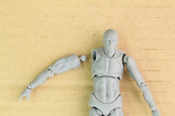 Plastic model of human body with arms detached.