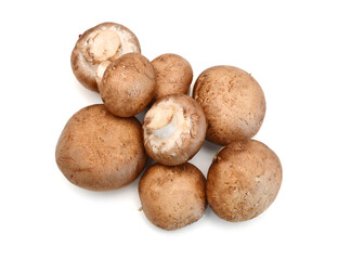 Common mushrooms on white background