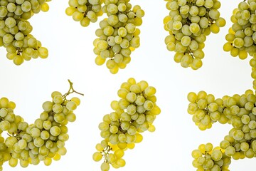 Grapes isolated on background