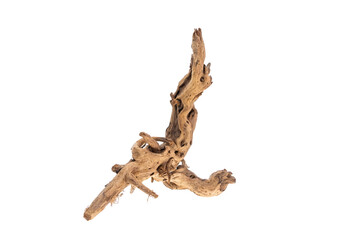 Wooden snag, Driftwood or aged wood isolated on white background