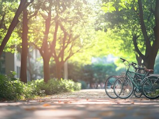 Fototapeta premium A serene pathway lined with trees and bicycles, inviting leisure and exploration.