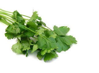 Coriander cilantro leaves isolated on white