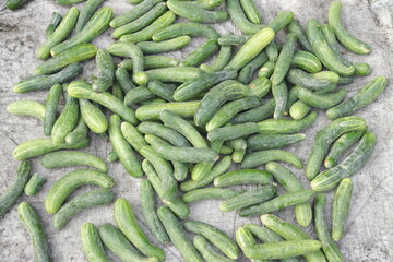 cucumbers
