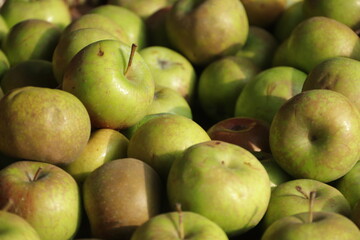 green apple fruit