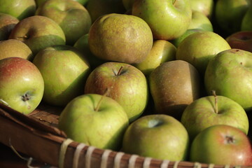 green apple fruit