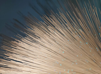 Obraz premium optical fibres dinamic flying from deep on technology background