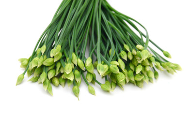 Chives flower or Chinese Chive isolated on white background.