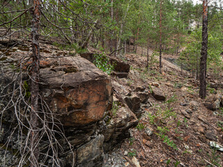 Southern Urals, Bashkir State Nature Reserve: rock dumps at abandoned mines for the extraction of chromite ore under Mount Bashart.