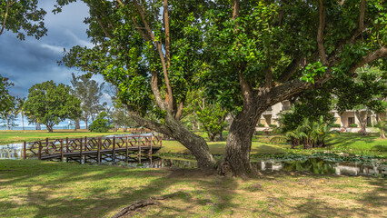 Landscape design of a tropical park. A wooden pedestrian bridge over a stream. Green grass on the lawn. Sprawling trees, palm trees against the blue sky. The ocean is far away. Malaysia. Borneo. 