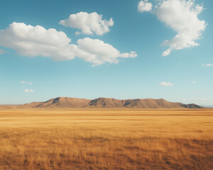 Fototapeta premium A Broad Tan Plateau: Vast Open Spaces Portrayed in Visual Art