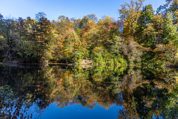 autumn trees reflected in water