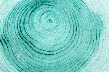 Abstract Wood pattern, view of wooden surface with natural tree rings of juniper blue green color,...