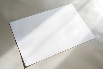 A large white rectangular paper was placed on the table and photographed from above