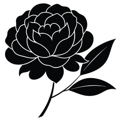 Obraz premium Peony Vector Art.