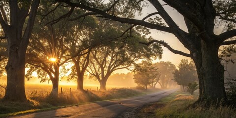 A still image of a soft sunrise peeking through trees casting a warm glow that signifies hope and serenity ideal for starting a stressfree day.
